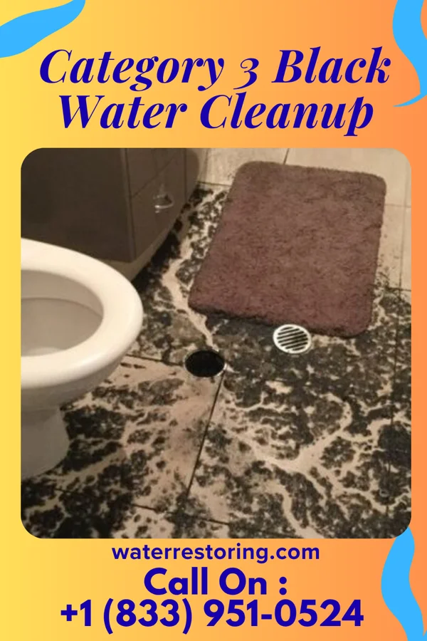 Category 3 Black Water Cleanup in Dooling, GA
