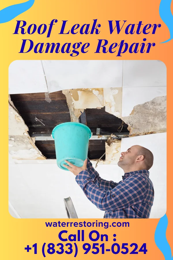 Roof Leak Water Damage Repair in Dooling, GA